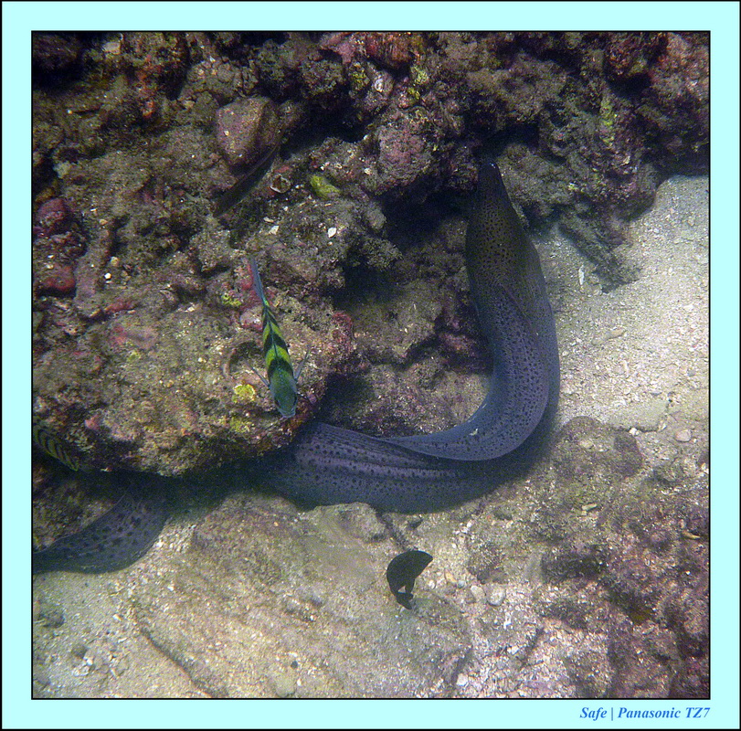 Koh Kaï - Snorkeling